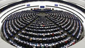 razno 13.02.14. evropski parlament, Members of the European Parliament take part