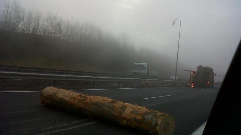 Raztresena hlodovina pri Razdrtem (Foto: bralec)