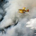 Air Tractor
