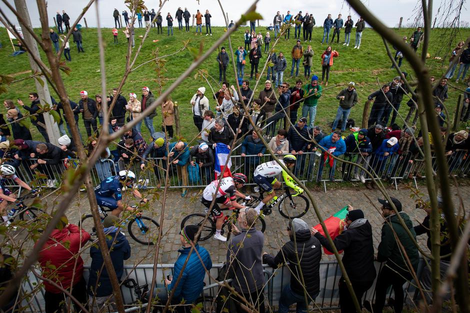 Tadej Pogačar | Avtor: Profimedia