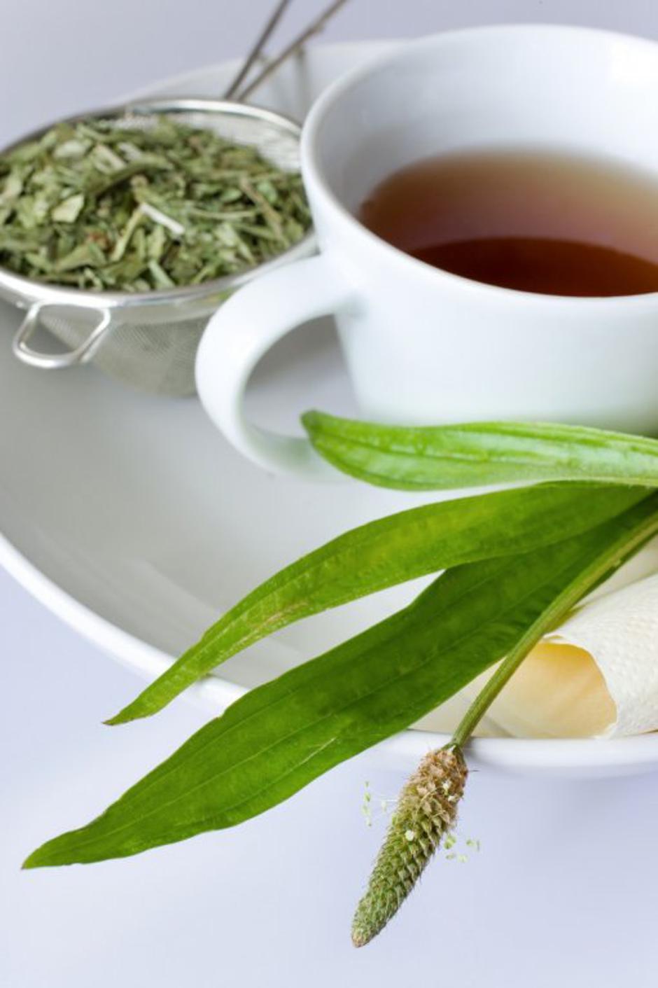 Zeleni čaj | Avtor: Profimedias