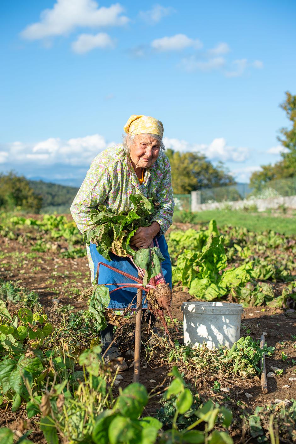 Francka Mljač | Avtor: Anže Petkovšek