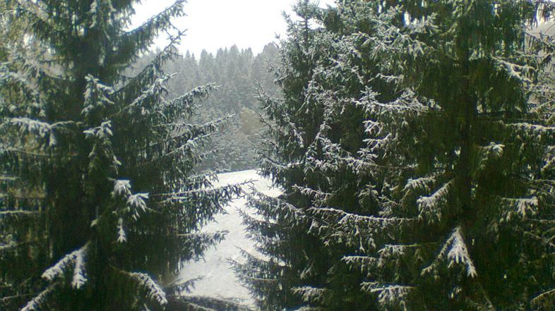 Slovenijo pobelil sneg.