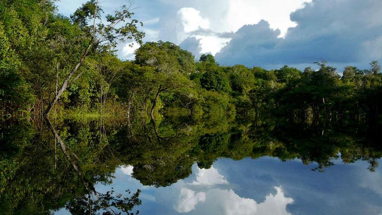 Amazonka, Amazonija, Brazilija