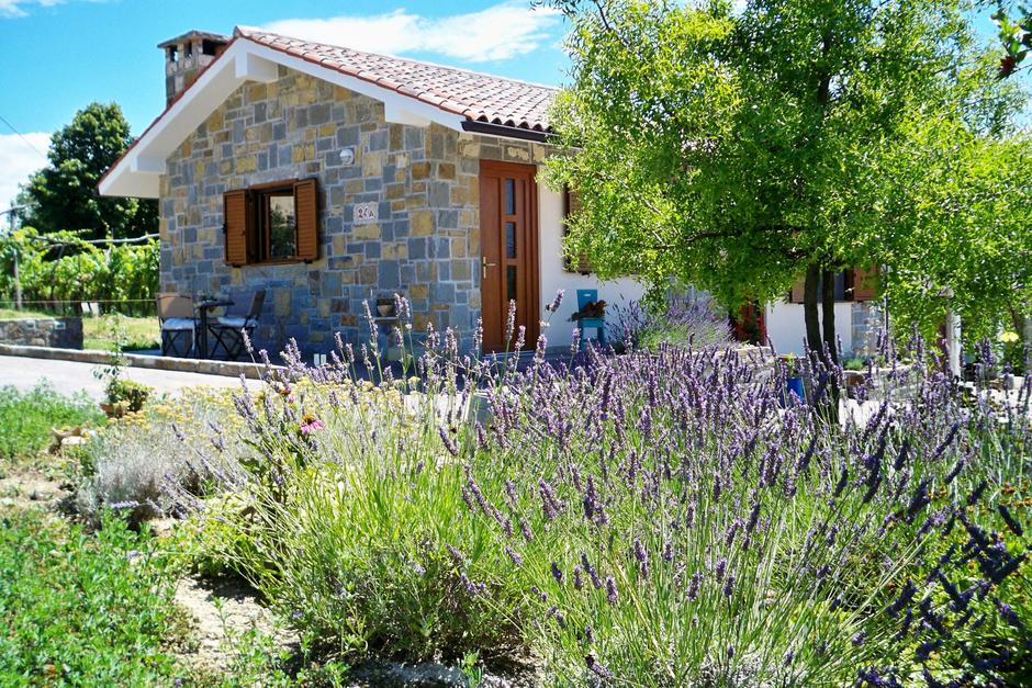 Hiša Ida | Avtor: Andreja Cilenšek