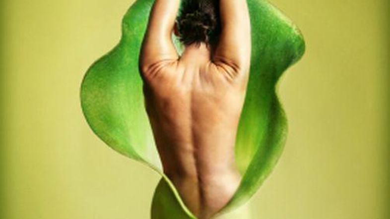 In zdaj se bo obrnila ...