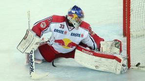 Gračnar Medveščak Zagreb Red Bull Salzburg Arena Zagreb Ebel