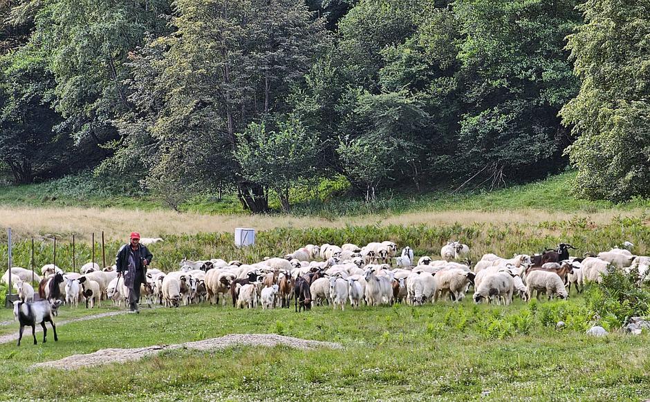Romunija, potovanje z dacia dusterjam | Avtor: Matija_Janežič
