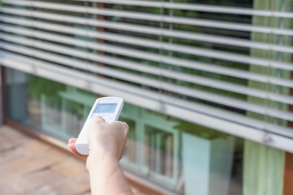 senčila | Avtor: Profimedia