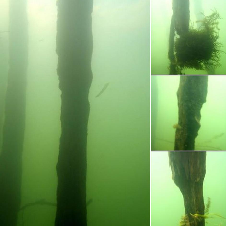 Most v Mršeči vasi