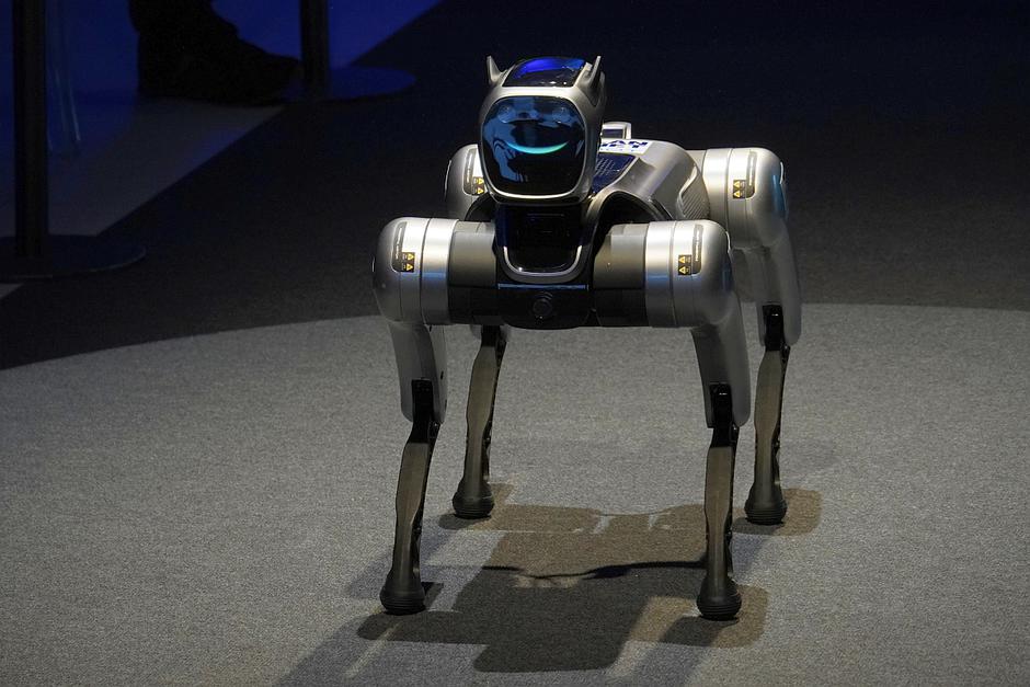 Plan-net roboti | Avtor: Matija_Janežič