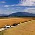 ford puma, ford capri, ford explorer