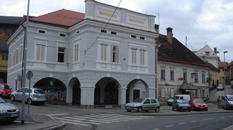 V spodnjih prostorih Makarjeve hiše bo mladinski center, v zgornjih pa bo začasn