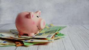 denar bankovci hranilnik evro