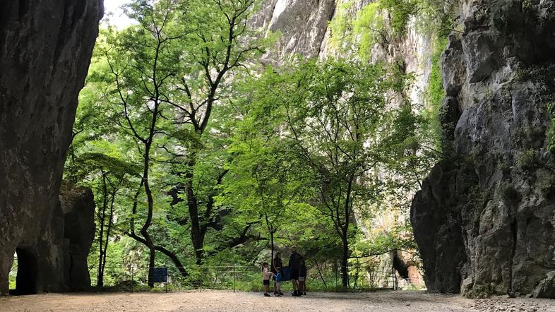 Park Škocjanske jame