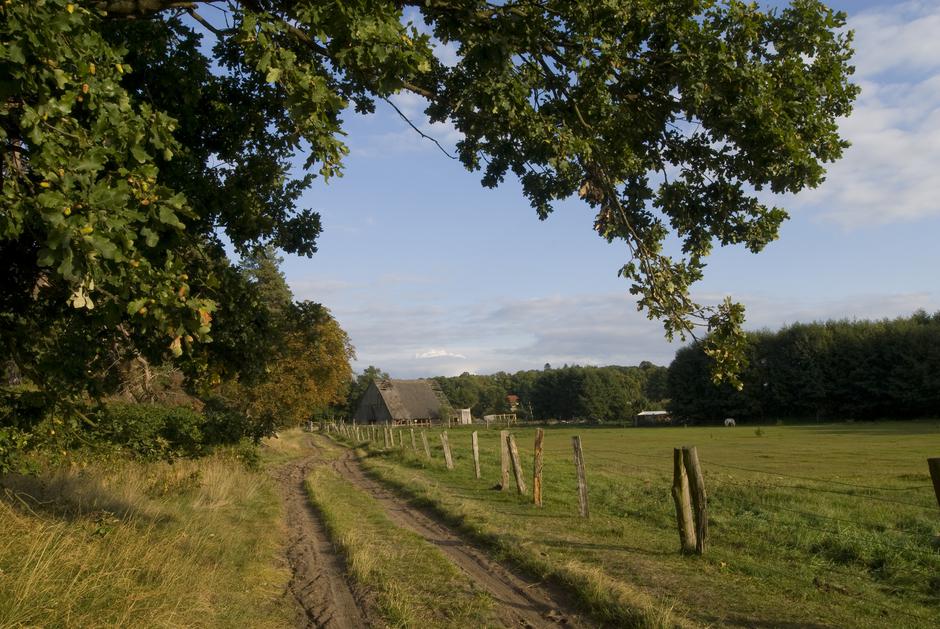 pašnik travnik podežlje | Avtor: Profimedia