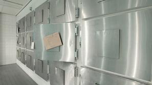 (Foto: Shutterstock)