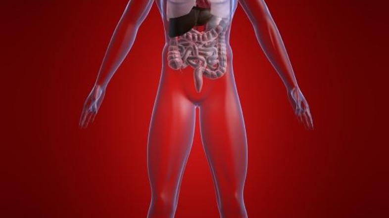 Poškodba jeter lahko privede do resnih zapletov, v najhujših primerih celo do sm