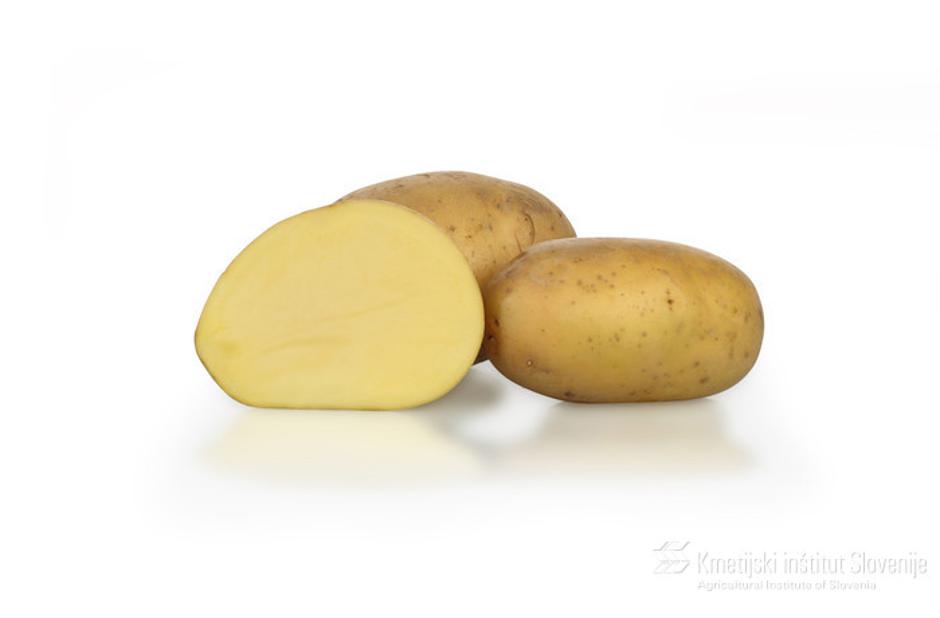 KIS Slavnik | Avtor: arhiv KIS