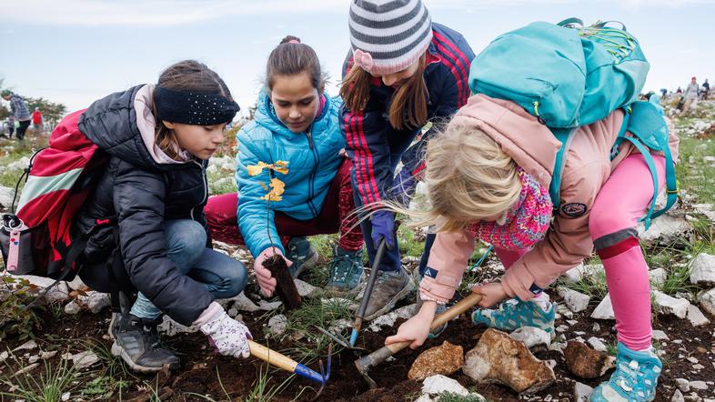 otroci Kras pogozditev