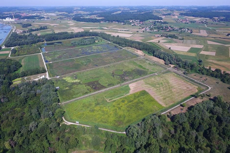 Ormoške lagune | Avtor: Tilen Basle, DOPPS