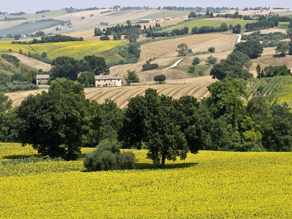 Marche, Italija | Avtor: Žurnal24 main