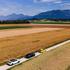 ford puma, ford capri, ford explorer