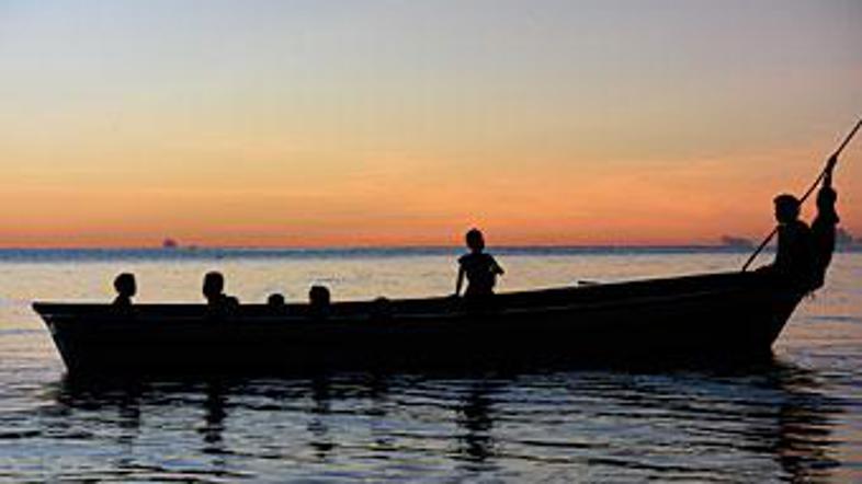 Festival migrantskega filma