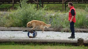 Jure in Lan sta na lanskem svetovnem prvenstvu osvojila šesto mesto. (Foto: Oseb