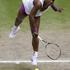 Serena Williams Wimbledon finale