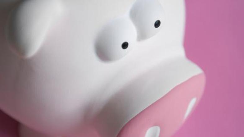 Pujsek že čaka. (Foto: iStockphoto)