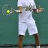 jo tsonga, wimbledon