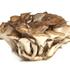 maitake