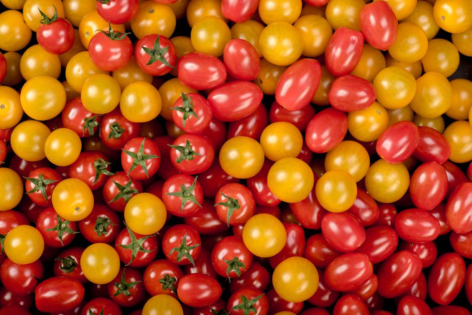 Lušt | Avtor: Lušt