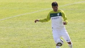 Aleksandar Radosavljević se je na Nizozemskem pridružil Timu Matavžu, Daliborju 