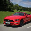 Ford  Mustang