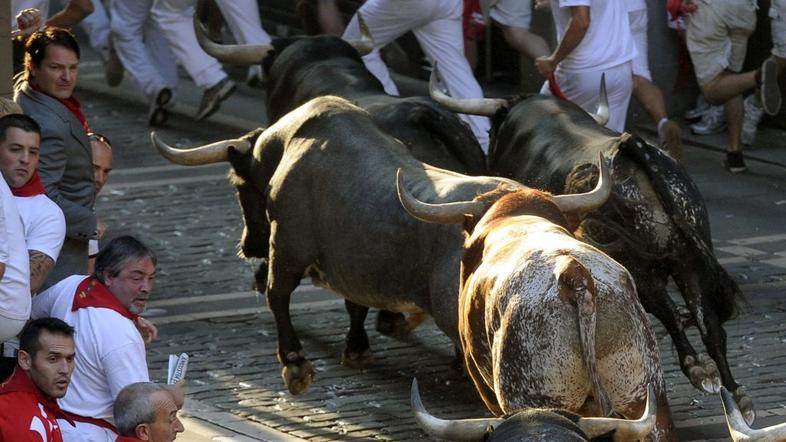 Pamplona tek pred biki