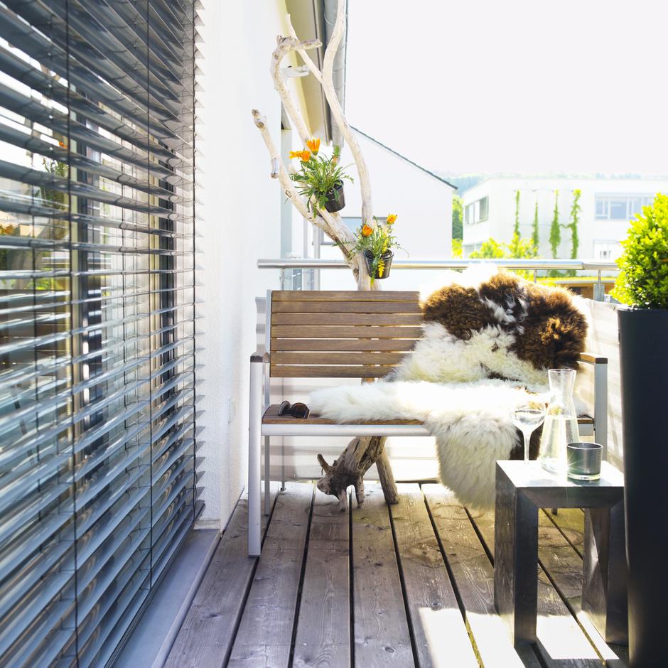 Senčila | Avtor: Profimedia