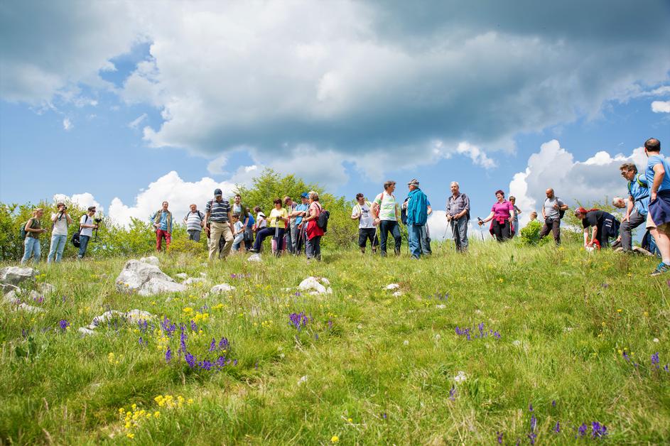 Festival Kraška gmajna