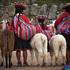 Cuzco, Peru