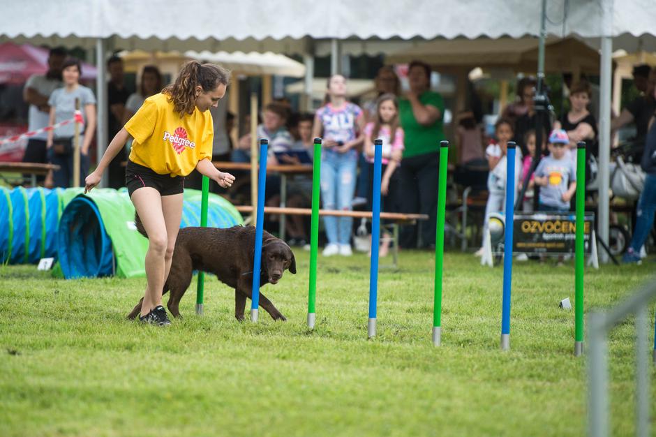 Dežela prijateljev | Avtor: Anže Petkovšek