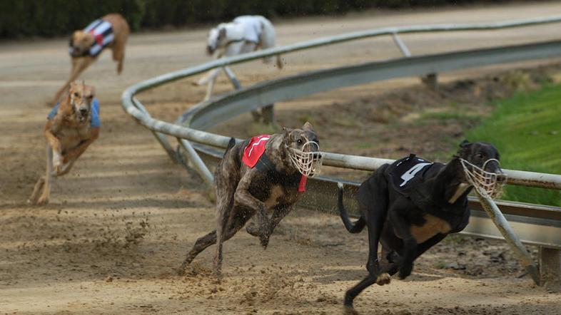 (Foto: Shutterstock)