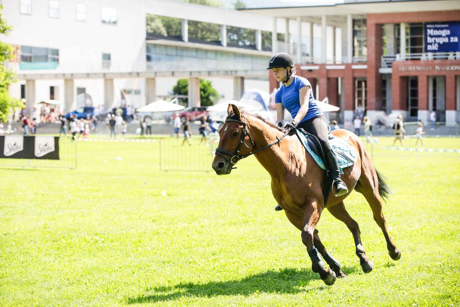 festival za ljubitelje živali | Avtor: Saša Despot
