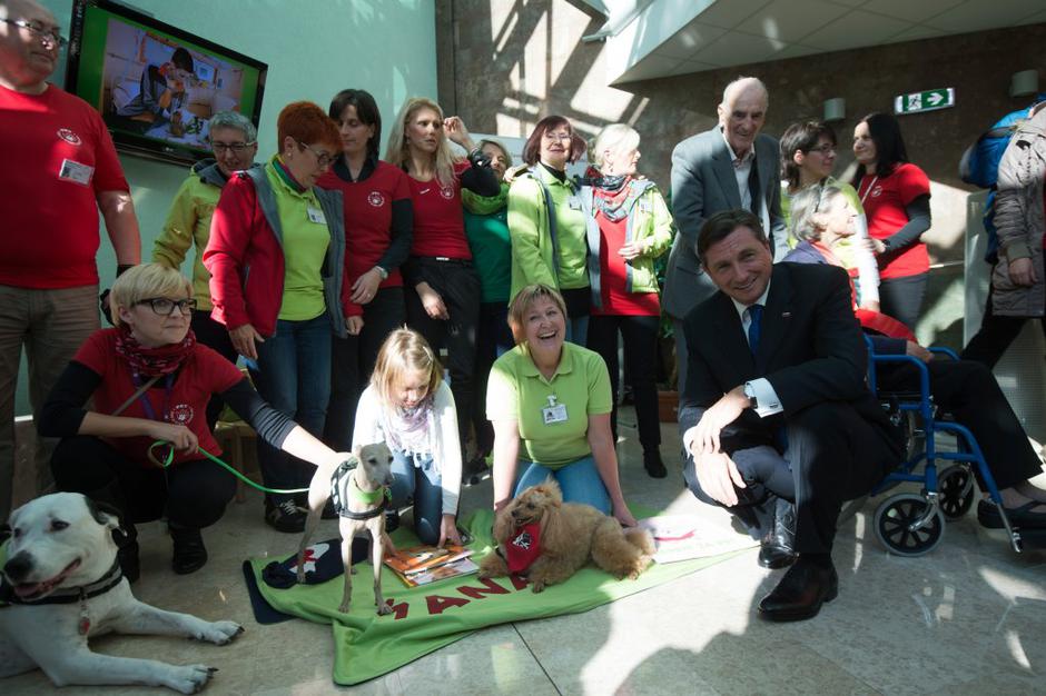 društvo pet | Avtor: Anže Petkovšek