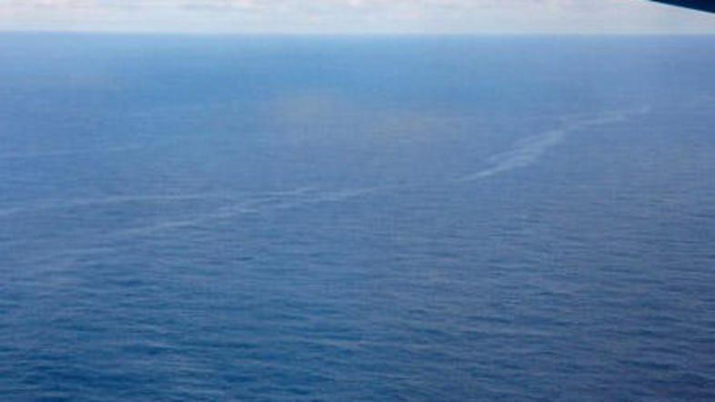 Oljni madež postaja čedalje večji, južni obali ZDA pa grozi največja ekološka ka