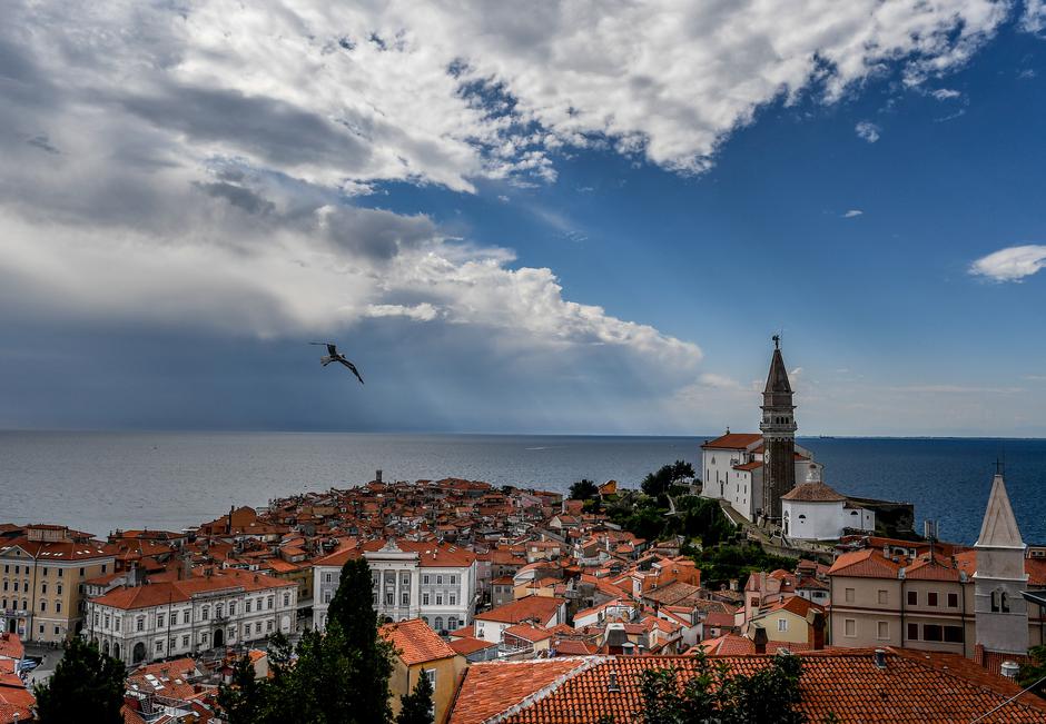Piran | Avtor: Epa