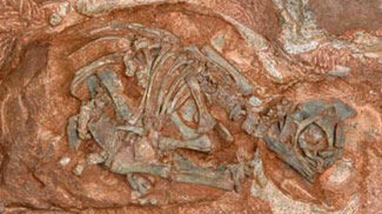 Dinozavri ravno zaradi svojega skrivnostnega izumrtja burijo domišljijo ljudi.