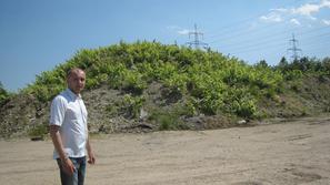 Rezultati analize, ki jo je naročil okoljski inšpektorat, naj bi bili znani kone