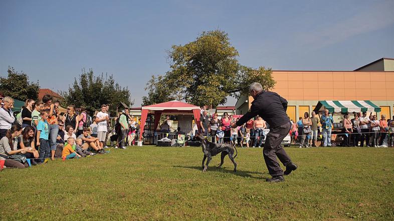1. sejem za ljubitelje živali