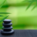 Pomirjujoče, zeleno in zen ...